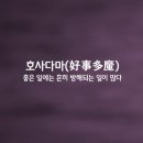 호사다마