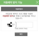 하선암 카라반 야영장 | 하선암카라반야영장 후기 및 국립공원 야영장 예약 팁