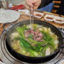 [상남동 맛집] 차차차 샤브샤브&amp;고기하우스에서 상남동샤브샤브 한 끼