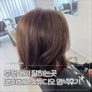 부천 머리 잘하는곳 매트브라운 도하헤어스튜디오 염색후기