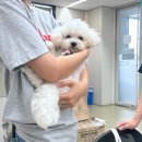 홍당무분식 | 2025 상반기 우당탕탕사무실!