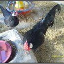 경민농장 이미지