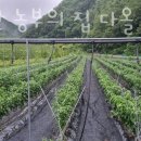 행복한 농부의집 다올 이미지