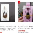 헤라클레스광고 이미지