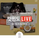 5월 11일 ~ 17일 네이버페이 주는 라이브방송 일정