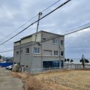 더퍼피즈블루오션 이미지