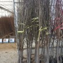 화성-향남-향남 8호 이미지