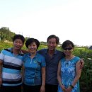 상영농장 이미지