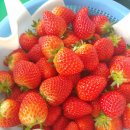 장중은농장 이미지