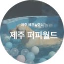 퍼피월드제주 이미지