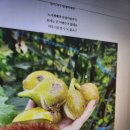 율리공인중개사사무소 이미지