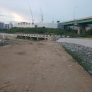 왕숙천고향의강 이미지