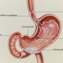 이내과의원 이미지