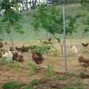 모후농장 이미지