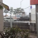 그제의 술안주...본점에서 외 이미지