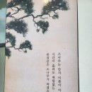 목련로 | 청주 소나무 불쭈꾸미 목련로 맛집 내돈내산 추천
