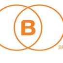 프로보노브릿지 이미지