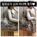 센스 | [내돈내산] 알로요가 가방 이너백(백앤센스) 후기❤️