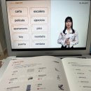 [가벼운 학습지 스페인어] 공부 12주 차-1 스페인어 단어 스페인어 문법 현재 시제 -ir