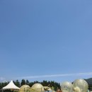 빅볼랜드 이미지