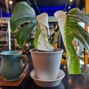 트레이닝스튜디오 바름 이미지