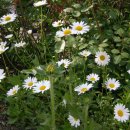 꽃소아청소년과의원 이미지