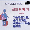 에이온