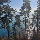 트리나하우스 이미지