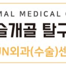 유앤동물의료센터 이미지