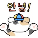 거제GO캠핑 이미지
