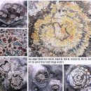 청송 세계지질공원 [3] 화성명소 10곳