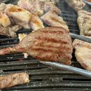 고돌제로 이미지