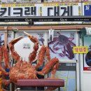 이강크랩 이미지