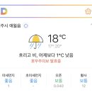 씨힐 이미지