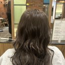 녹번역3번출구뒤(건널목) | 녹번 미용실 추천｜박승철헤어스투디오 녹번역점 애쉬브라운 염색 후기 (다람 실장님)