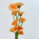 연한농장 네이버블로그