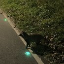 운중로277번길(판교공원로) | 대박 즐거운 시험 후 일상