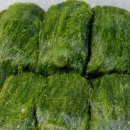 빛과갯벌-2 이미지