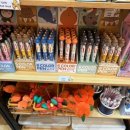 애월오락실 이미지