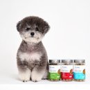 또하나의 가족 이미지