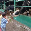 약사가온유치원 이미지