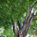 동백여관 이미지