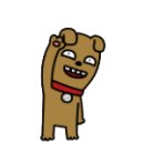 대한기획렌탈 이미지