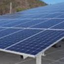 젤루느린달팽이 이미지