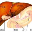 간질환 -1 이미지