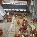 심정농장 이미지