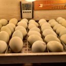 청계마루 이미지