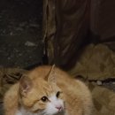 중앙캠핑장 이미지