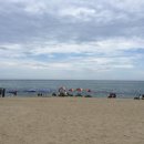 종우개발 이미지