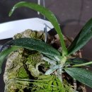 원희 농장 이미지